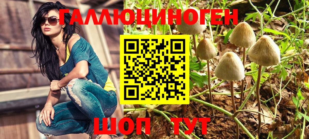 Галлюциногенные грибы прущие грибы Новодвинск