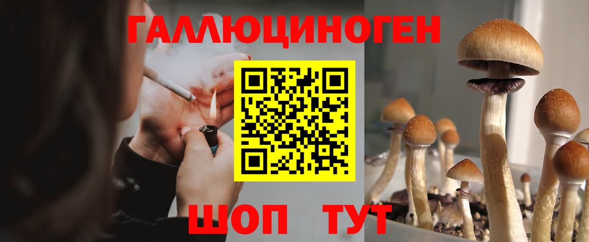Галлюциногенные грибы GOLDEN TEACHER  Галлюциногенные грибы MAGIC MUSHROOMS  Новодвинск  Вход с VPN 