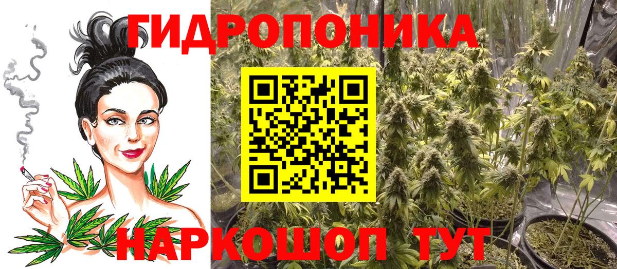 Шишки марихуана планчик  Канабис MAZAR  Вход с VPN  Новодвинск 